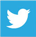 Twitter Icon